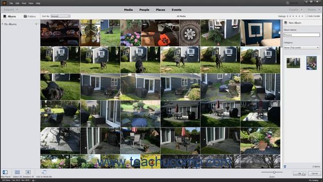 Photoshop Elements 2021 Tutorial Creating And Using Albums Adobe Training
