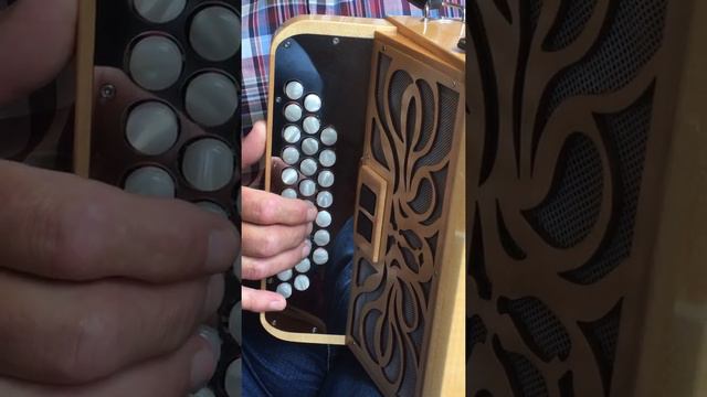LEARN 'The Geese in The Bog‘, IRISH b/c ACCORDION - jig played slow and fast for improving techniqu смотреть онлайн