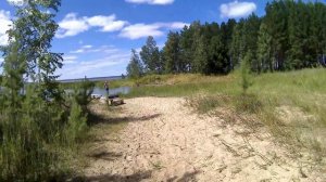 на берегах Обского водохранилища в караканском бору