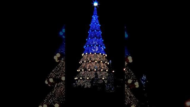 Самая большая новогодняя ёлка Украины 2016-2017... Площадь Свободы НАШ ЛЮБИМЫЙ ХАРЬКОВ!!!
