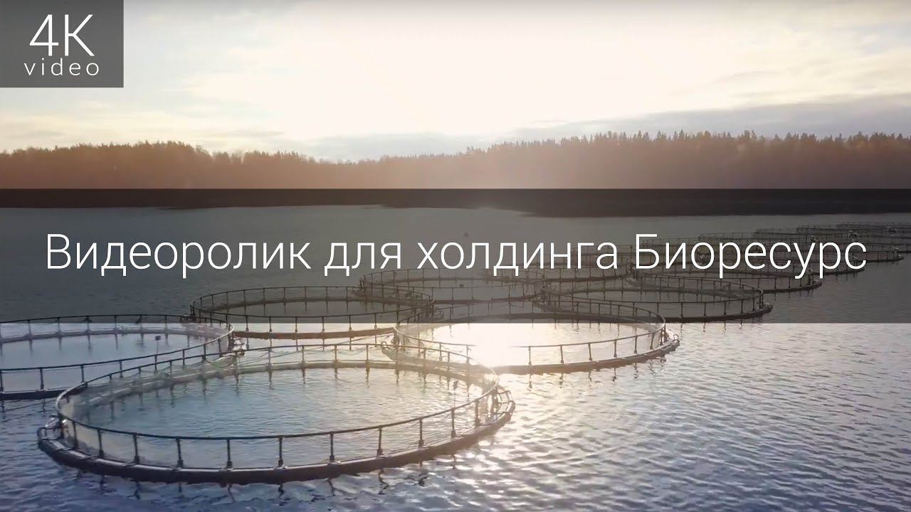Видеоролик для холдинга Биоресурс смотреть онлайн