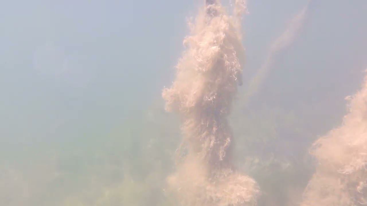 26.06.2022_3 смотреть онлайн