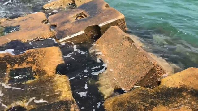 ASMR * Spend the Day w/ Me in Alexandria, Egypt * Waves & Water * Whispered * ASMRVilla смотреть онлайн