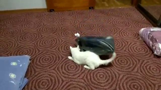 МЕСЯЦ ПОСЛЕ СТЕРИЛИЗАЦИИ.СОНЯ КАК НОВЕНЬКАЯ. смотреть онлайн