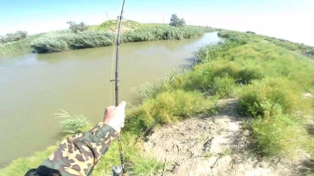 часть 2.ЖАРА. САЗАНЫ ЗАГИБАЮТ УДОЧКИ!!! РЫБАЛКА ПРОСТО БОМБА!!! РЫБАЛКА В ДАГЕСТАНЕ.