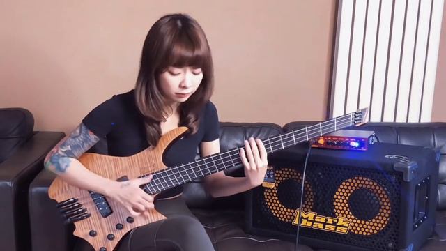 Explorer (T- Square) bass cover смотреть онлайн