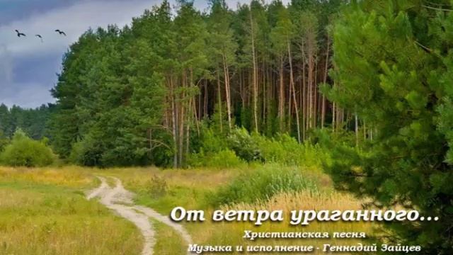 От ветра ураганного… Христианская песня. Геннадий Зайцев и Любовь Васенина смотреть онлайн