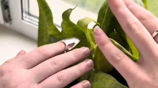 АСМР в ШКОЛЕ ??? // ASMR at SCHOOL ???