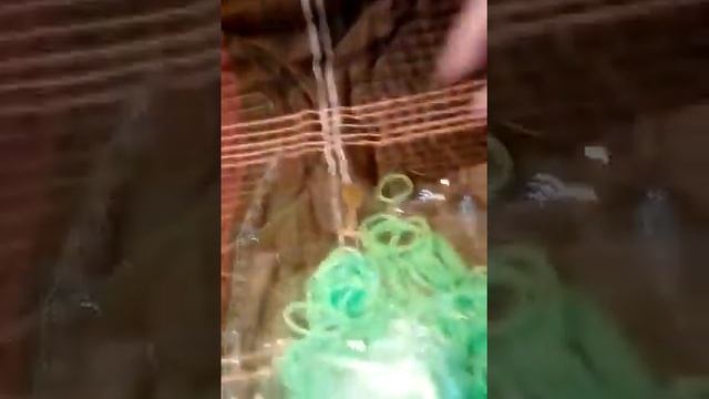 Салатовые резиночки. смотреть онлайн