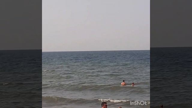 дельфины ловят рыбы на азовском море стая дельфинов проплывают в доль пляжа с людьми смотреть онлайн