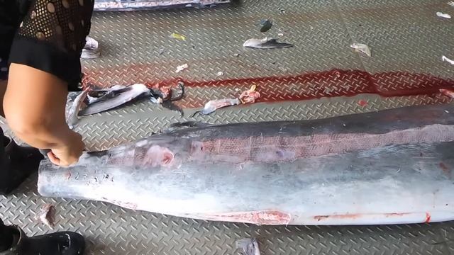 Giant Marlin Fish Cutting at Fishing port смотреть онлайн