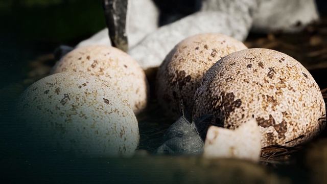 The Isle Guide: Nest Invites смотреть онлайн