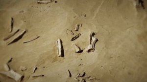 АФОНТОВА ГОРА