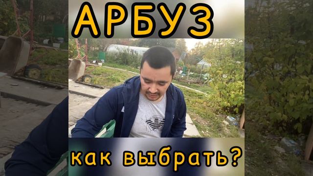 Как выбрать арбуз. Советы Узбека смотреть онлайн