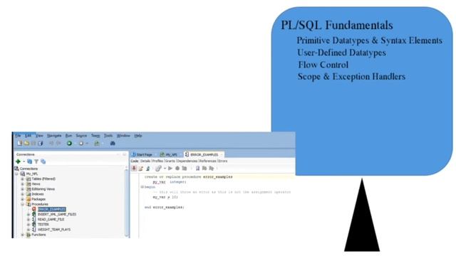 PL/SQL Programming Summary Part 1 смотреть онлайн