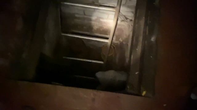 Дача влог 9. Купили дачу со всем содержимым.Купили гараж со всем содержимым.Сильно упала смотреть онлайн