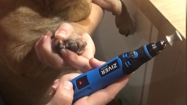 Пилка Ziver 231 распаковка и обзор смотреть онлайн