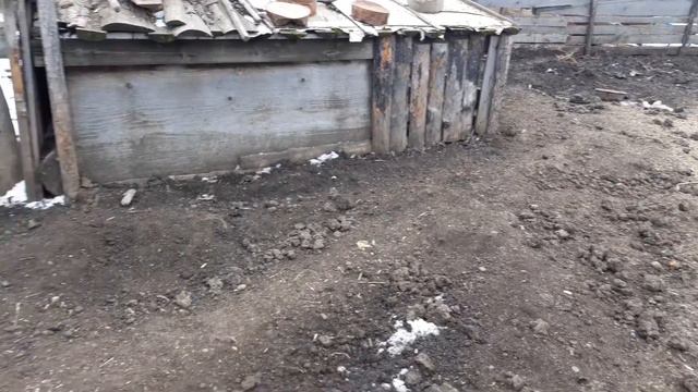 🐖Свиноводство - моё затруднительное положение🐖 смотреть онлайн