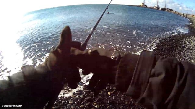 ФОРЕЛЕВАЯ ЛИХОРАДКА НА ЧЕРНОМОРСКОМ ПОБЕРЕЖЬЕ. Большой Утриш и Сукко. смотреть онлайн