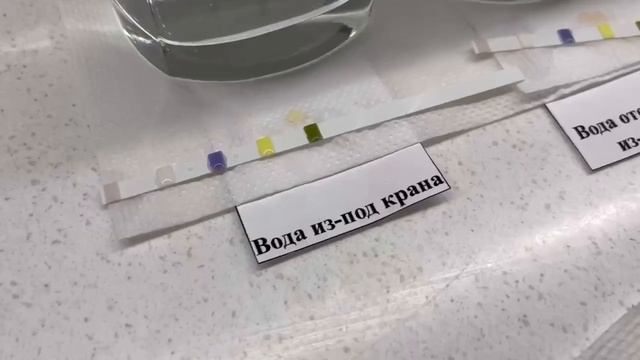 Эксперимент! Какой водой поливать комнатные цветы? Нужно ли отстаивать воду для полива растений? смотреть онлайн