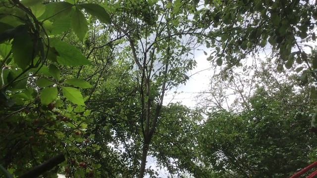 Дача как отдых смотреть онлайн