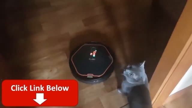 Говорящий робот пылесос Ругается на кота ? смотреть онлайн