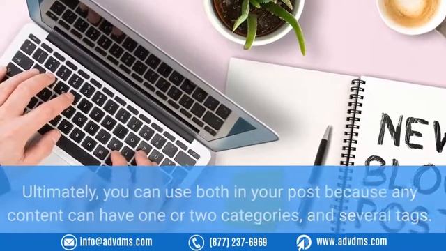 A Beginner’s Guide to WordPress Tags смотреть онлайн