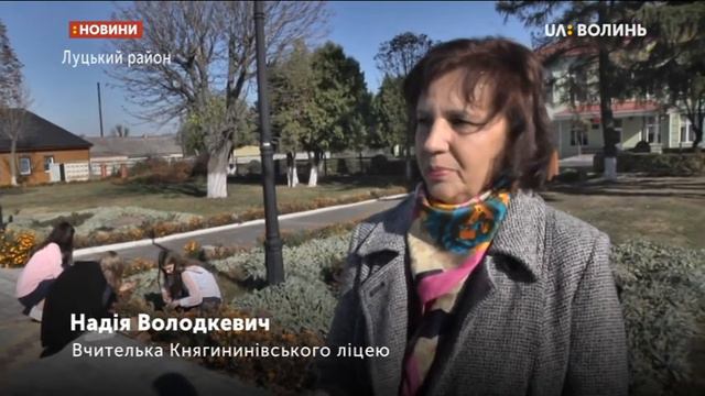 Чорнобривці Василя Рижука