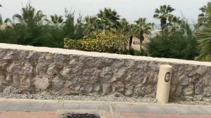 ОАЭ 🇦🇪 Все включено. Что подают на Обед. The Cove Rotana Resort. Рас-ель-Хайм