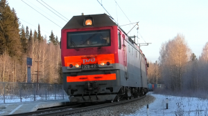«Бесконечная валюта». 2ЭС6-402 «Синара» с контейнерным грузовым поездом следует через о.п. Гусевка