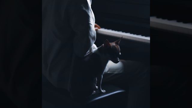 Idea 22 (Slowed + Reverb)