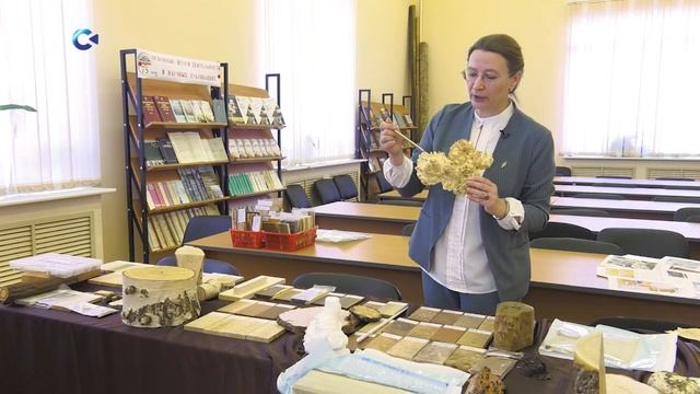 АНОМАЛЬНАЯ ДРЕВЕСИНА | «Тайны карельского леса» смотреть онлайн