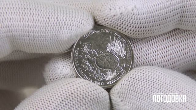 Болотная черепаха (Красная книга) - 1 рубль 2018 года - Приднестровье смотреть онлайн