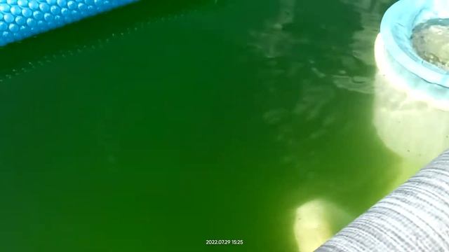 Позеленел бассейн.Начал чистку бассейна. смотреть онлайн