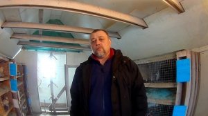 пермские голуби начало племенного сезона