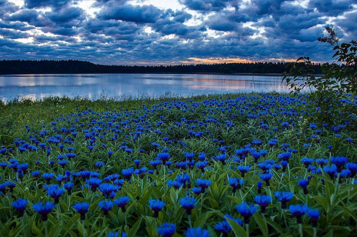 Meditacia Sleep 432 Гц