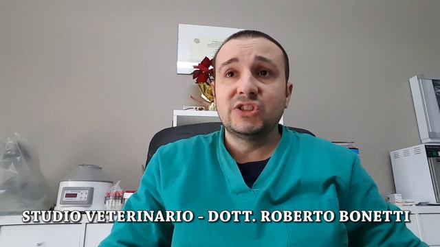 Corpi estranei nell'esofago di cane e gatto смотреть онлайн