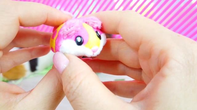 Что Распаковала Вера? Новые Домашние Питомцы Что в Коробке Давайка Посмотрим