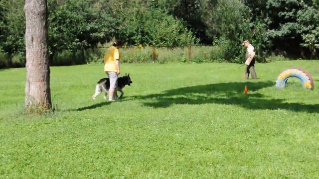 ЧВЕО 2013. Фиелисс Штурм. Защитный раздел.