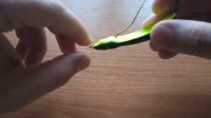 Колеблющаяся блесна Rapala Minnow Spoon. Лучшая незацепляйка на щуку