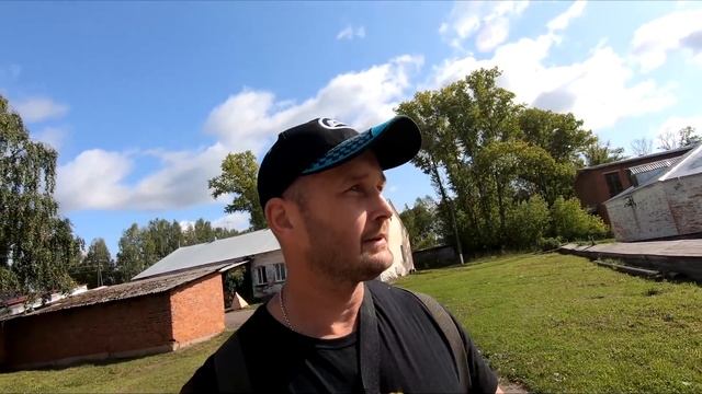 Дикие кошки поселились в бане.