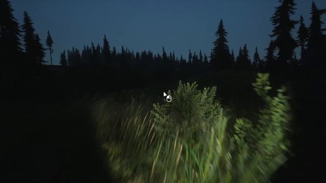 Lushfoil Photography Sim Open Beta 3 смотреть онлайн