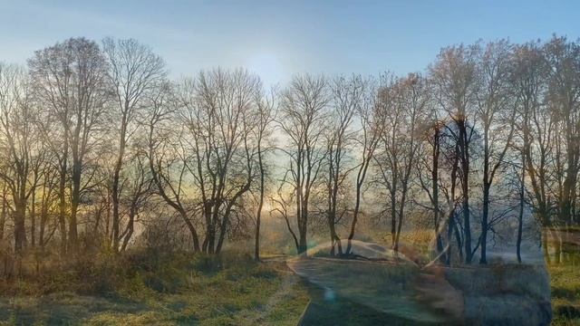 Ханг / Музыка для вдохновения, музыка для успокоения / Hang drum - Kosmosky Handpan смотреть онлайн