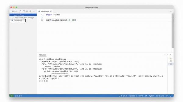 AttributeError: partially initialized module has no attribute (most likely due to a circular import