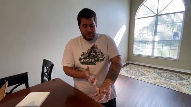 Ball python unboxing 2020 (Banana pied) смотреть онлайн