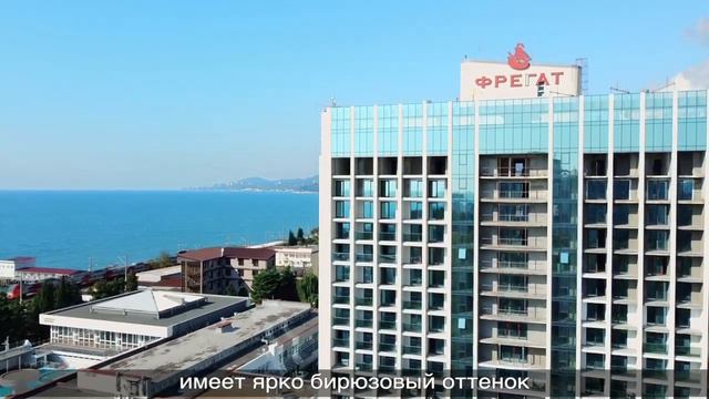 Апартаменты в Сочи с видом на море. Элитная недвижимость Сочи смотреть онлайн