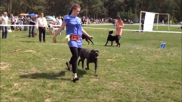 Сокровище Нации Енигма и Сокровище Нации Арабеска