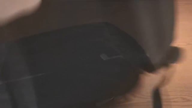 Belkin 15.6 Laptop Backpack смотреть онлайн