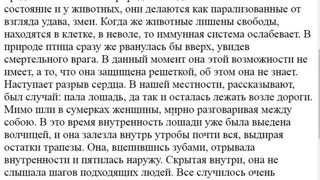1054. Кого Бог наказал, и почему так случилось? смотреть онлайн