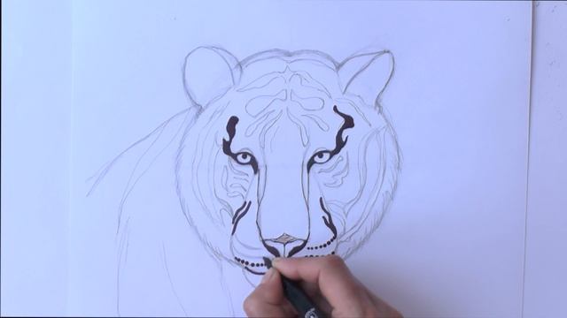 Doodling | Zentangle Как рисовать ДУДЛИНГ узоры (ТИГР) Уроки рисования | Art School